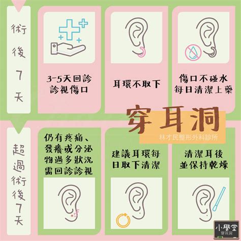 為什麼不能穿耳洞|【小學堂】打(穿)耳洞怎麼選？